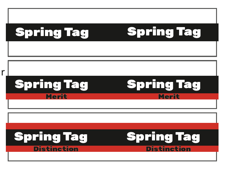 Martial arts belt tags